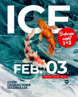 ICE
