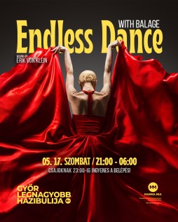 ENDLESS DANCE